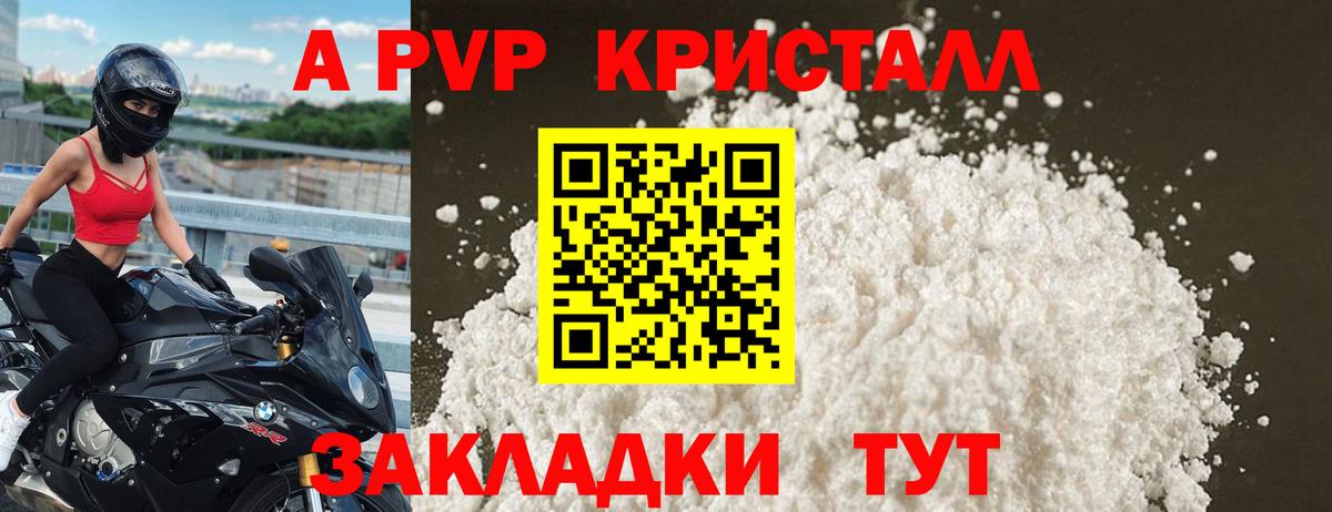 Альфа ПВП СК КРИС Саранск