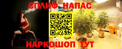 mdpv Севастополь