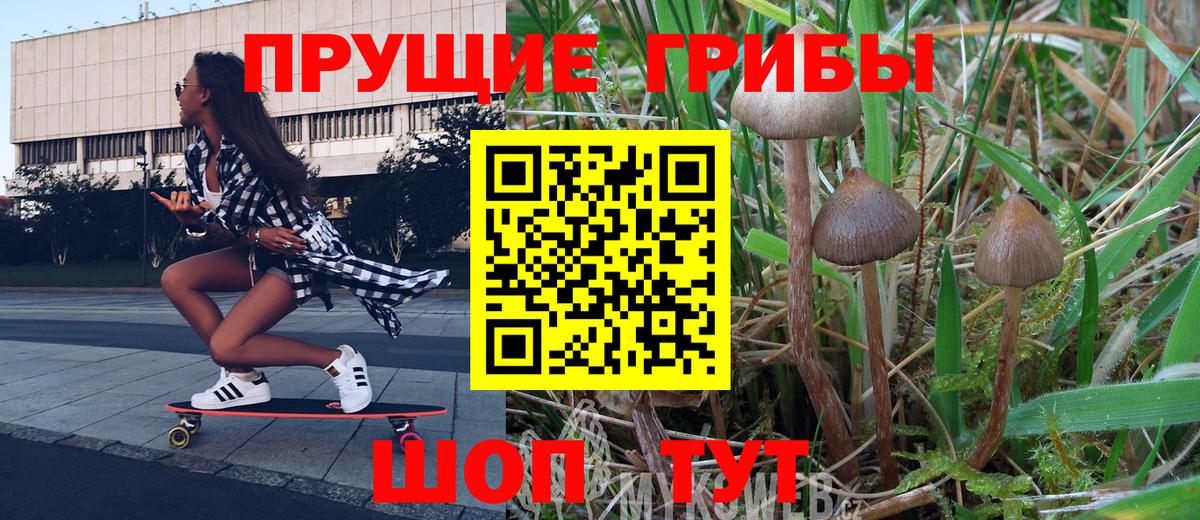 Псилоцибиновые грибы прущие грибы Саранск