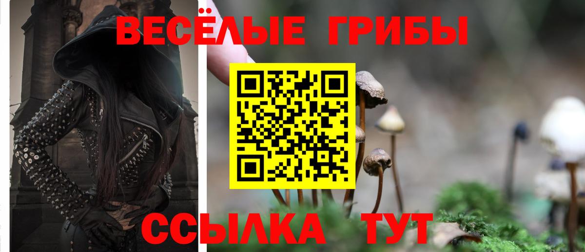 Галлюциногенные грибы Psilocybe  Вход с VPN  что такое наркотик  Галлюциногенные грибы GOLDEN TEACHER  Саранск 
